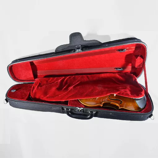 Standard Series Violin Rental