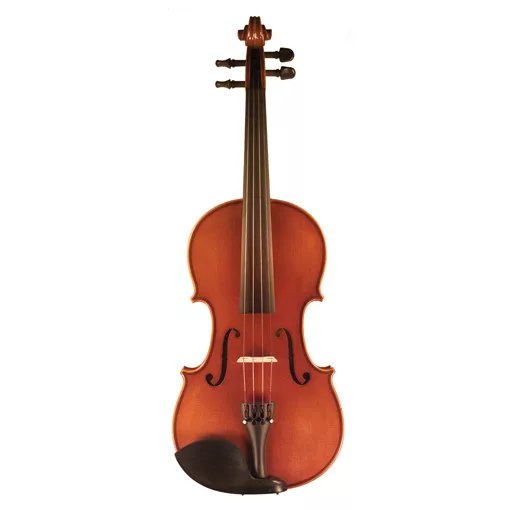 Standard Series Violin Rental