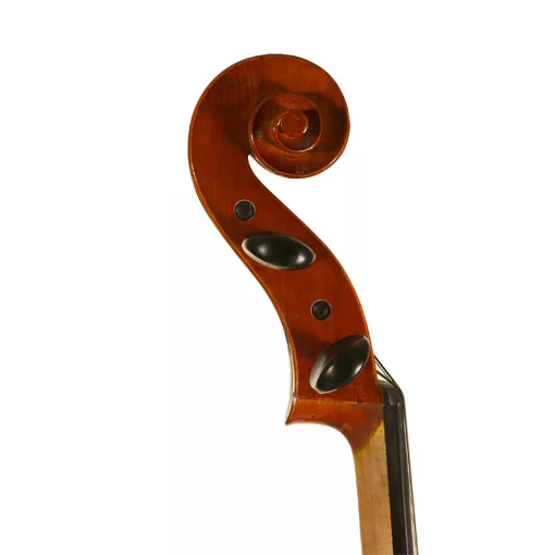 Standard Series Cello Rental Reservation - Image 3