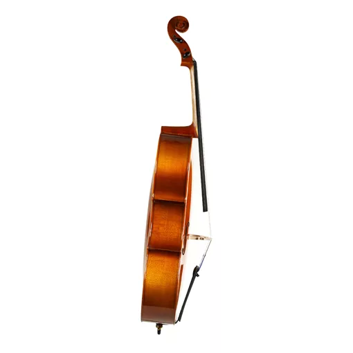 Standard Series Cello Rental Reservation - Image 4