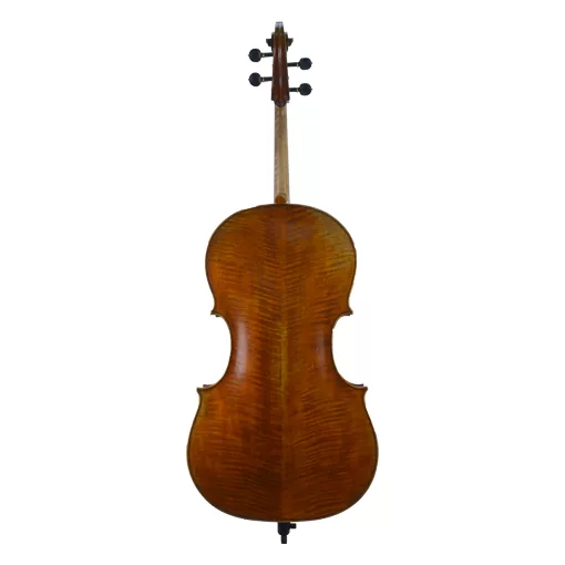Master Series Cello Rental